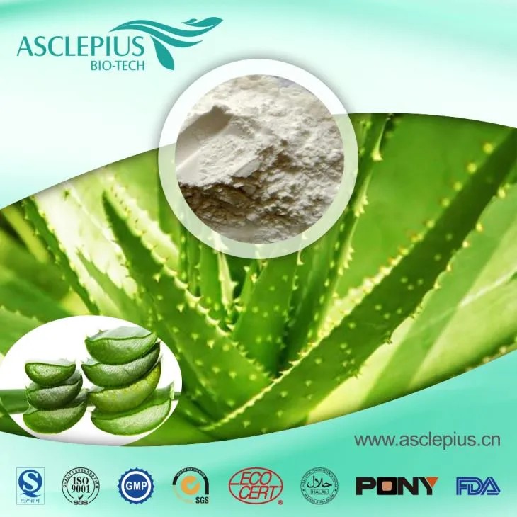 Proveedor de polvo de extracto de aloe vera al por mayor / el ingrediente activo es aloe emodina, aloína, gel de aloe vera