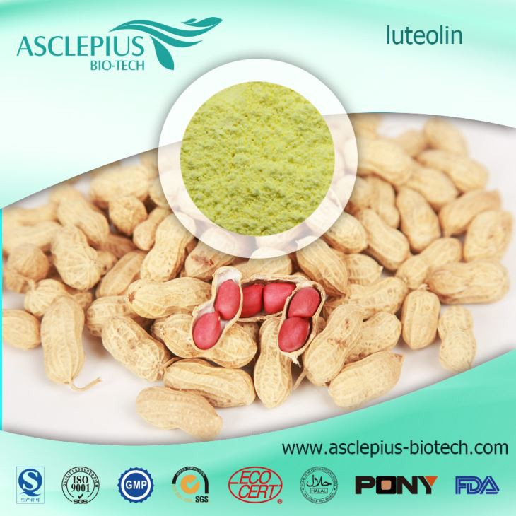 Luteolina, proveedor de suplementos de luteolina al por mayor