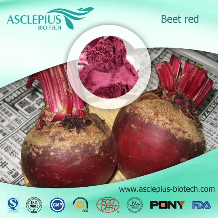 Extracto de raíz de remolacha roja, proveedor de polvo de jugo de remolacha al por mayor /betaína, remolacha roja