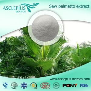 Saw Palmetto Extract Powder Ácido graso 25% Proveedor al por mayor