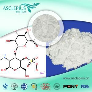 ¿Puede la pepsina contribuir a la formación de úlceras?