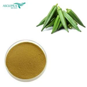 Polvo de okra de alta calidad/polvo de extracto de okra/polvo de semilla de okra